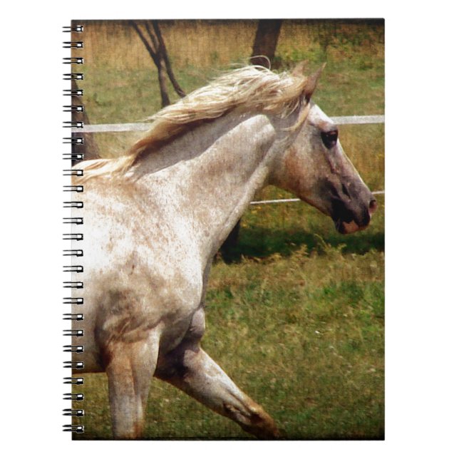 Caderno Espiral Appy (Frente)