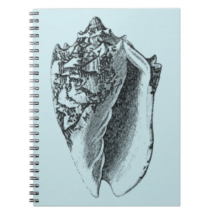 Caderno Espiral Aqua Conch Shell