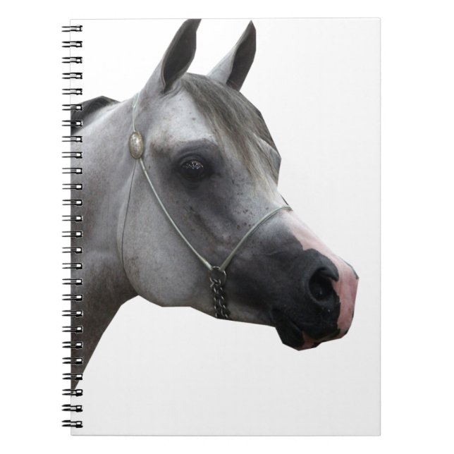 Caderno Espiral árabe (Frente)