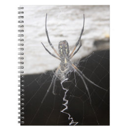 Caderno Espiral Aranha