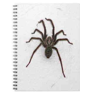 Caderno Espiral Aranha assustadora