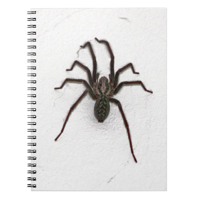 Caderno Espiral Aranha assustadora (Frente)