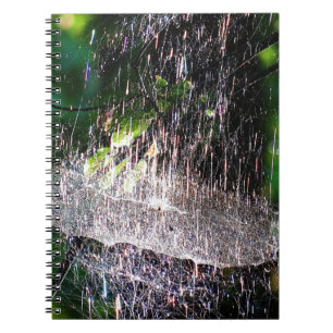 Caderno Espiral Aranha colorida e espumante