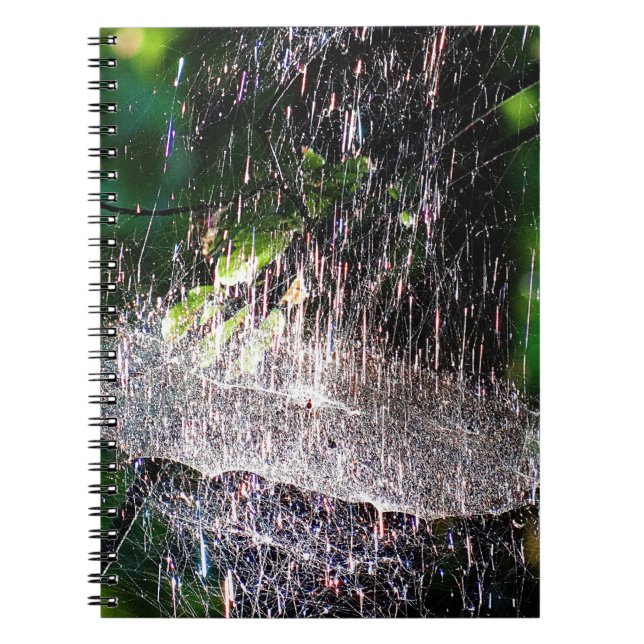Caderno Espiral Aranha colorida e espumante (Frente)