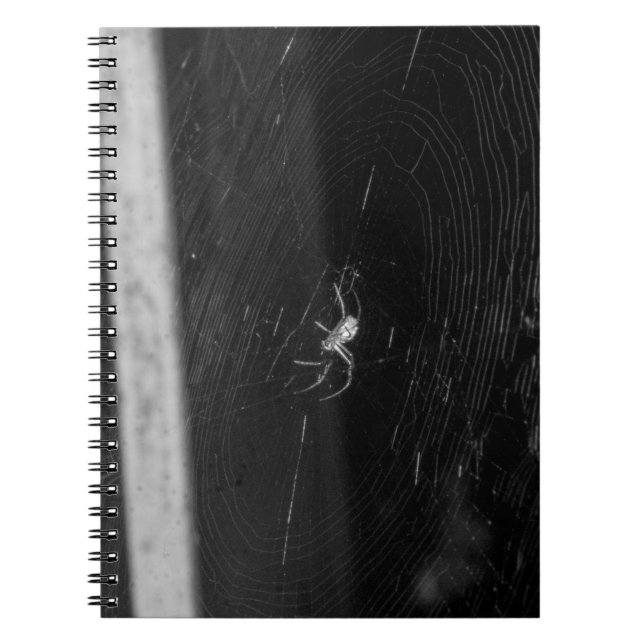 Caderno Espiral Aranha de porão (Frente)