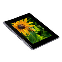 Aranha em um notebook Sunflower 6,5x8,57
