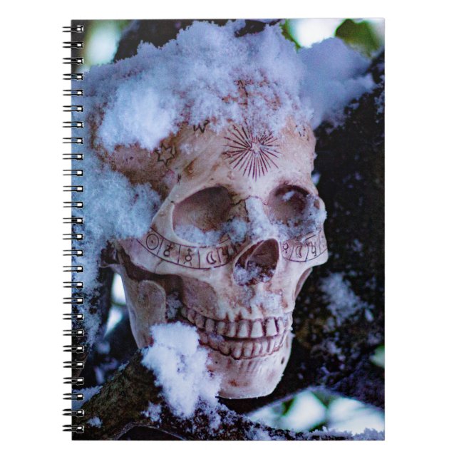 Caderno Espiral Arcana Winter I (Frente)