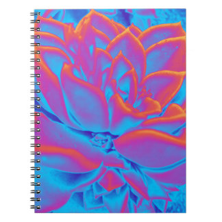 Caderno Espiral Arco-íris - Planta suculenta