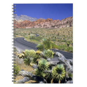 Caderno Espiral Área de Conservação Nacional Red Rock Canyon, Las