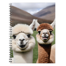 Caderno Espiral Área de transferência