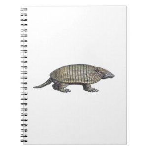 Caderno Espiral Armadillo