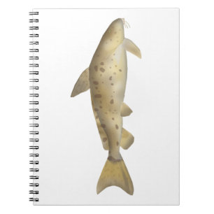 Caderno Espiral Armado