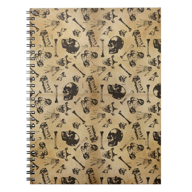 Caderno Espiral Arqueologia da Anatomia Óssea (Frente)