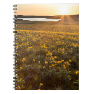 Caderno Espiral Arranjo de Flores Silvestres de Balsamroot de Folh