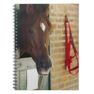 Caderno Espiral Arranque de um cavalo 3