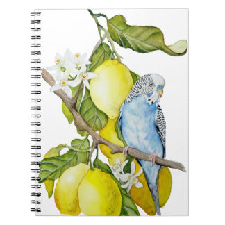 Caderno Espiral Arte Botânica em Aquarela de Periquito Azul em Lar