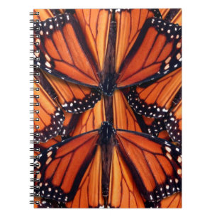 Caderno Espiral arte da borboleta monarca