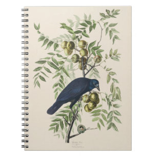 Caderno Espiral Arte da Natureza de Pássaros do Corvo Americano Au