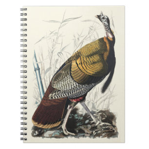 Caderno Espiral Arte de decoração de Ação de Graças peru selvagem