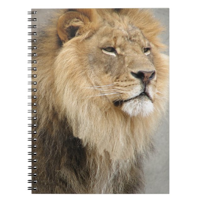 Caderno Espiral Arte de Leões (Frente)