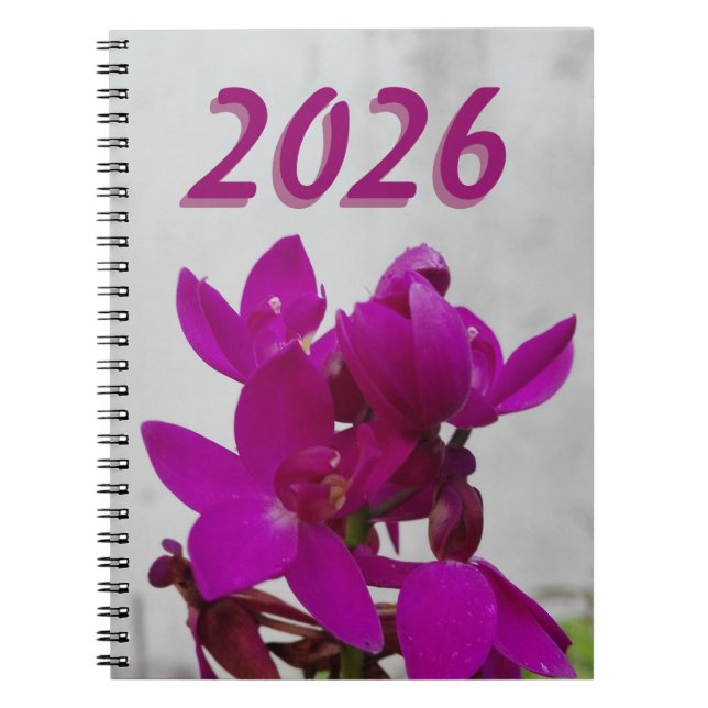 CADERNO ESPIRAL ARTE FLOR NATURAL PARA PRESENTE 2026 (Frente)