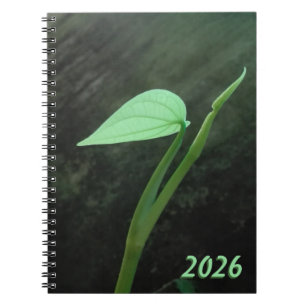 CADERNO ESPIRAL ARTE FLOR NATURAL PARA PRESENTE 2026