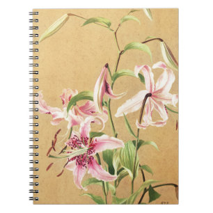 Caderno Espiral Arte Floral Botânica de Lírio Oriental Rosa Vintag