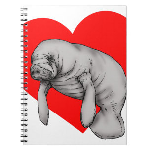 Caderno Espiral arte manateada
