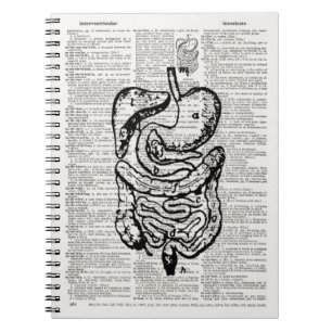 Caderno Espiral Arte médica do dicionário da ilustração