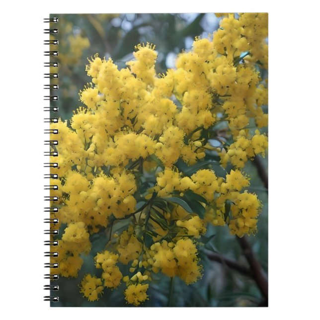 Caderno Espiral Árvore Amarela australiana de Wattle, (Frente)