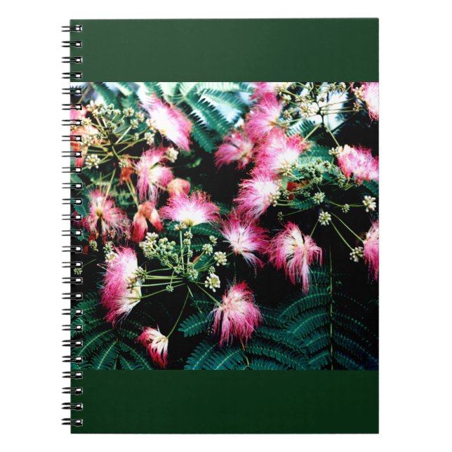 Caderno Espiral Árvore da Seda (Frente)