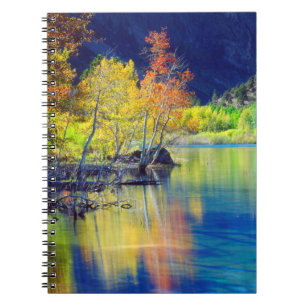 Caderno Espiral Árvore de Aspen no outono refletindo no Lago Grant
