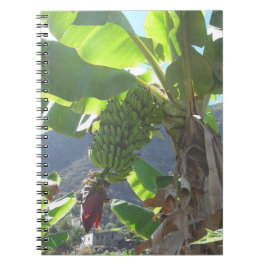 Caderno Espiral Árvore de Banana com Notebook Flor
