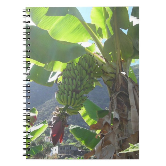 Caderno Espiral Árvore de Banana com Notebook Flor (Frente)
