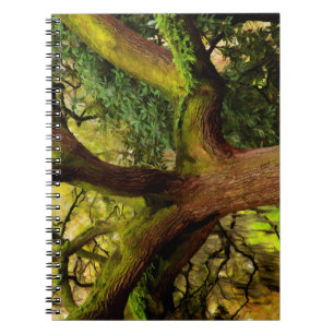 Caderno Espiral Árvore de carvalho