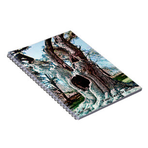 Caderno Espiral Árvore de Filmes do Assistente Familiar