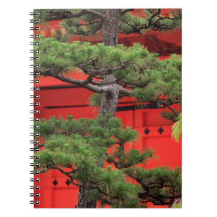 Caderno Espiral Árvore de Pinheiro Bonsai