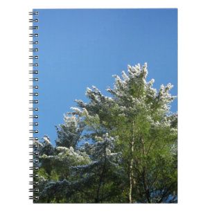 Caderno Espiral Árvore de pinos com ponta de neve no céu azul