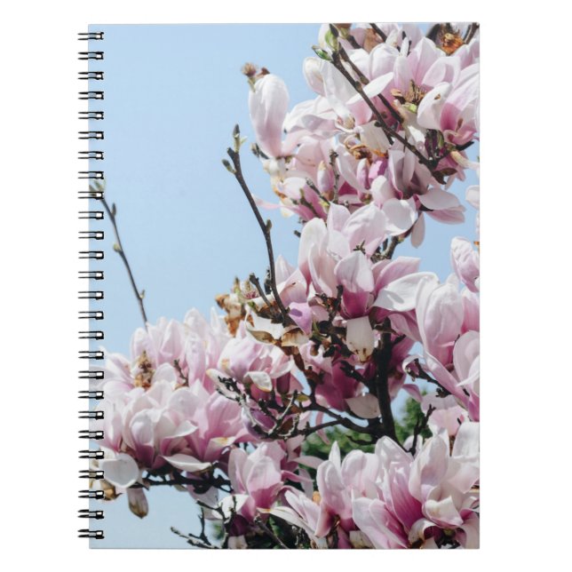 CADERNO ESPIRAL ÁRVORE DE SANGUE DE CHERRY (Frente)