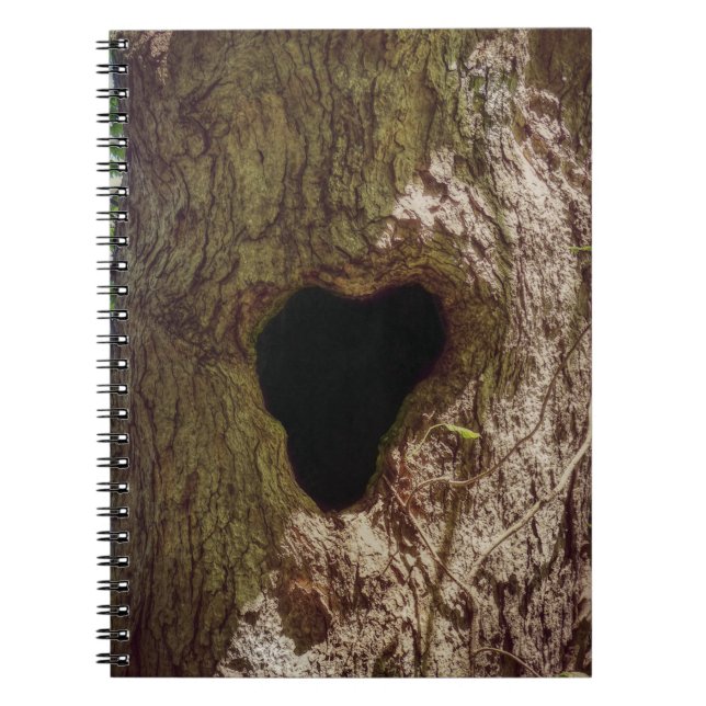 Caderno Espiral Árvore do Coração (Frente)