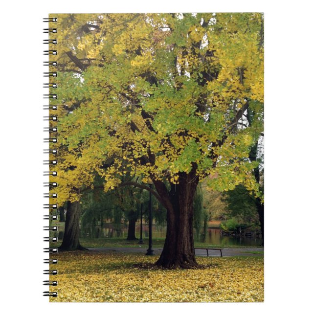 Caderno Espiral Árvore Ginkgo na Queda (Frente)