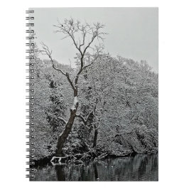 Caderno Espiral Árvore, na água