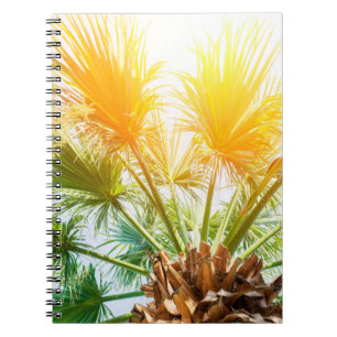 Caderno Espiral Árvore palmeira brilhante fundo de verão. tropical