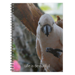 Caderno Espiral Árvore Pássaro Kauai (minha fotografia)