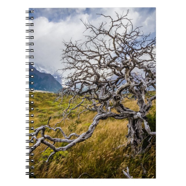 Caderno Espiral Árvore queimada, Torres del Paine, Chile (Frente)