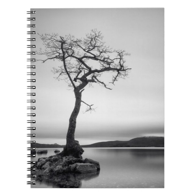 Caderno Espiral Árvore solitário (Frente)