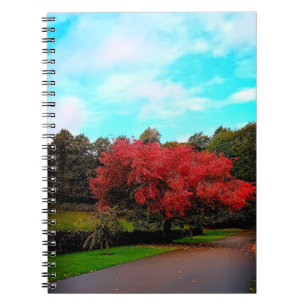 Caderno Espiral Árvore vermelha