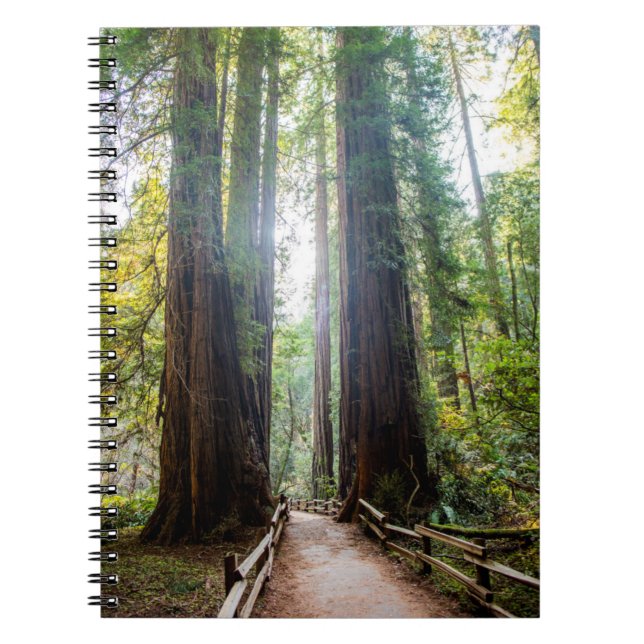 Caderno Espiral Árvores altas (Frente)