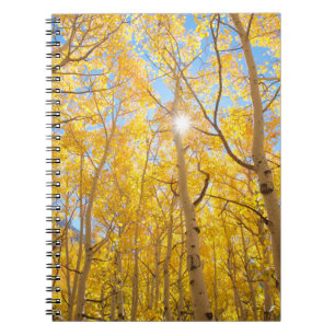 Caderno Espiral Árvores Aspen Montanhas Sierra Nevada, CA