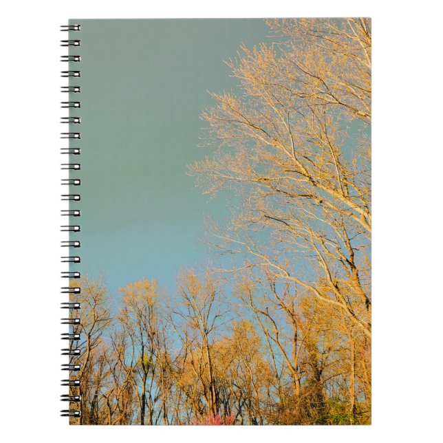Caderno Espiral Árvores com Vista de Céu Stormy (Frente)